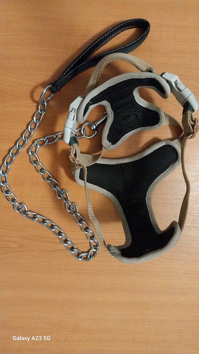 Ham DOG & DRESS marimea S si lesa lant 80 cm