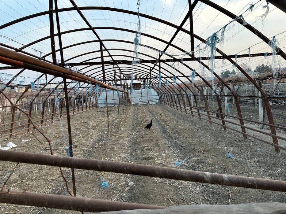 Теплица сотилади