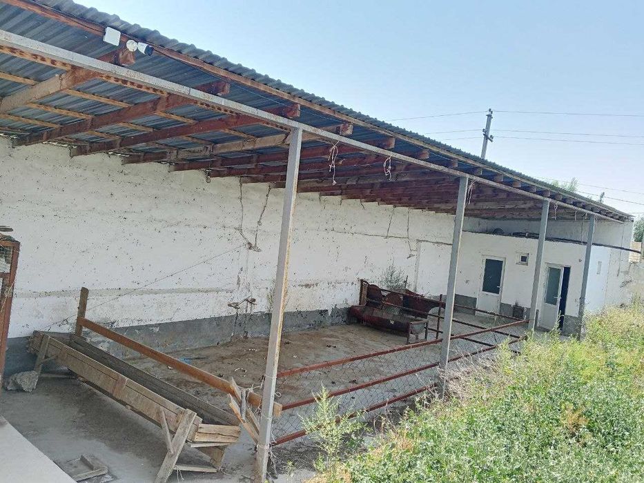 Ferma  sotiladi, 13.3 sotx  40 ta buqa yoki ot boqishga mo'ljallangan