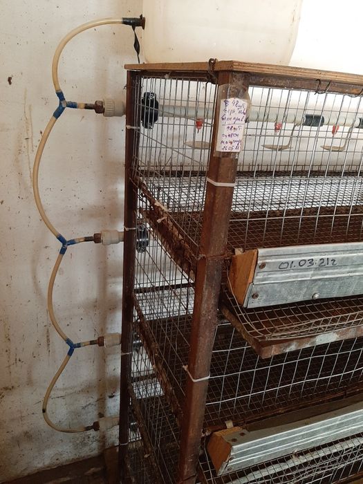 Продам клетки для перепёлок.