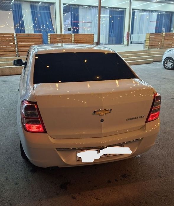 2023 yil Kraskasi toza metani bor