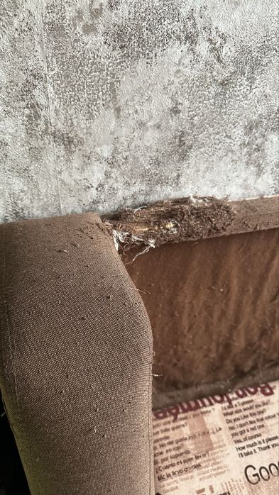 Продам диван срочно