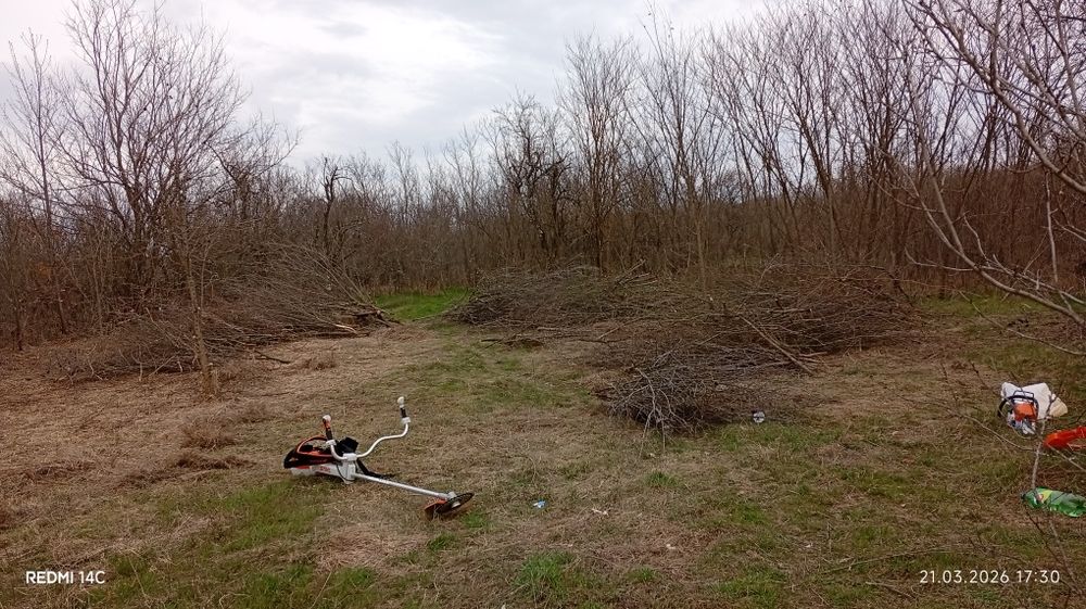 Sa făcut junglă pe terenul dumneavoastră?