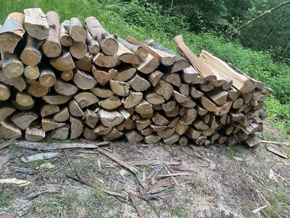 Lemne de foc doar esente tari