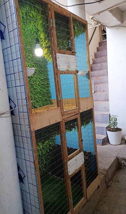 Qafas valer sotiladi