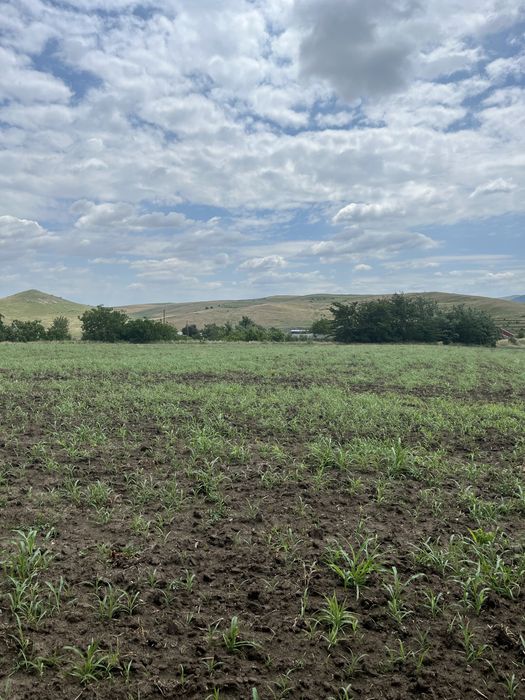 Teren intravilan de vanzare