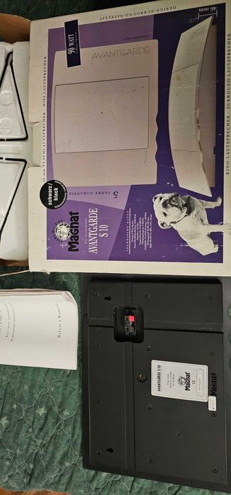 Magnat Avantgarde S 10 колони за стена или таван