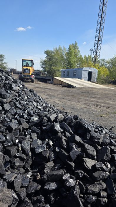 Уголь Макуба и Каражыра орех