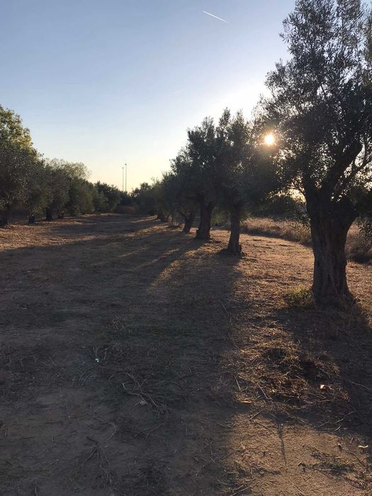 Продава се Парцел в София, в.з. Малинова долина - 300 кв.м за 104 €/кв.м - Снимка #3