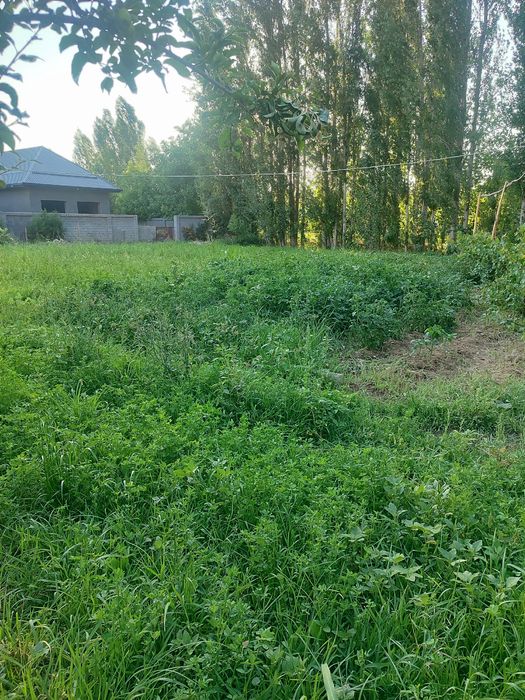 Продаётся дом 16 сотк