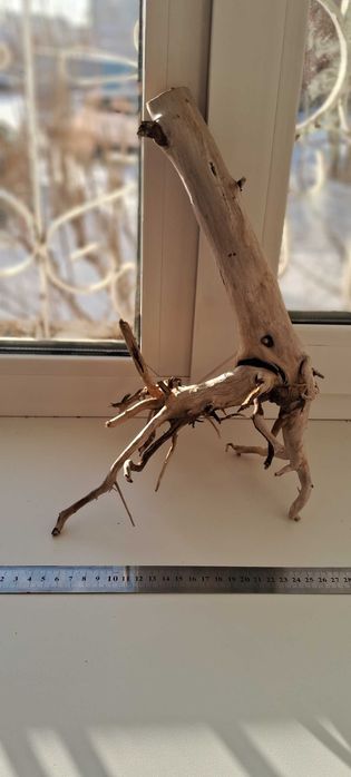 Коряги для аквариума