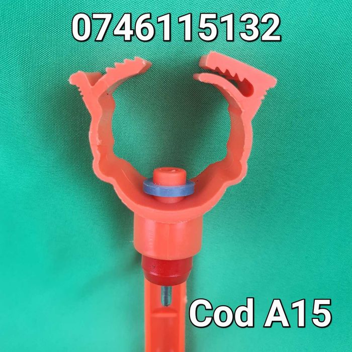 Gaini fazani curci fazani pasari rate paun-ADAPATORI PUI Cu Tavita-A15