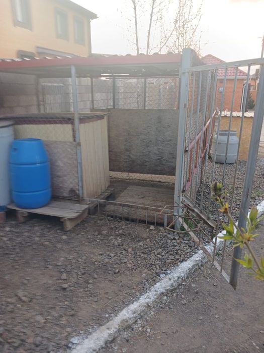 Продаю вольер для собаки