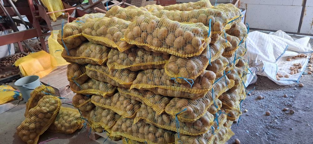 Картофи за консумация и семе