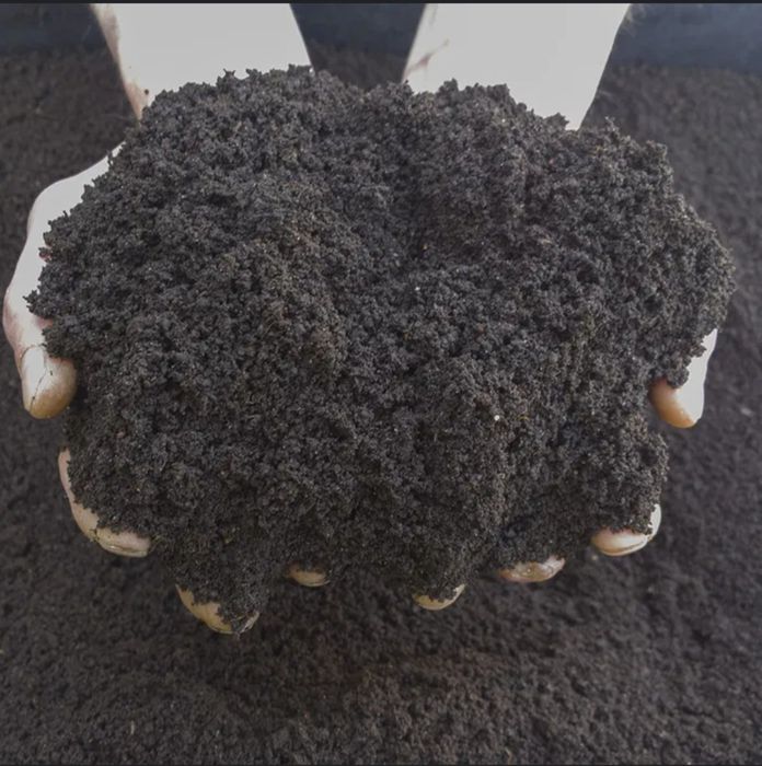 Sifatli biogumuslar sotiladi davtavka xizmati ham bor narxi kelishilad