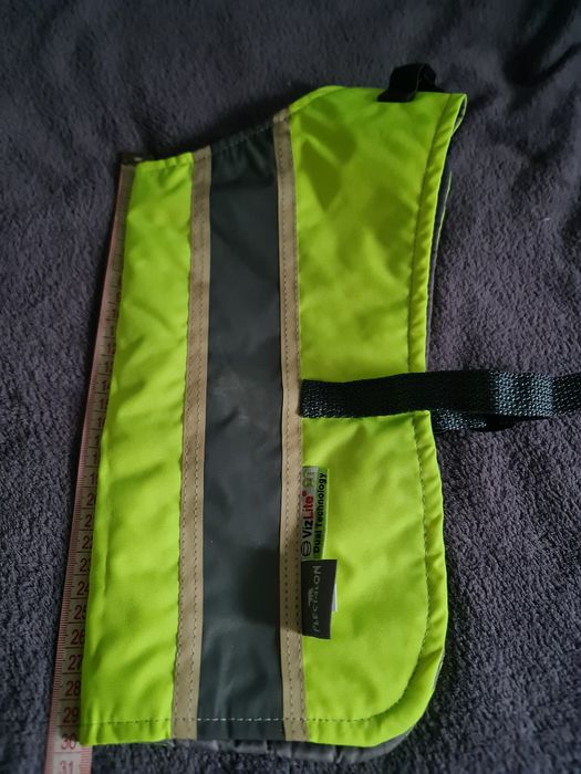 Hainuta catei, reflectorizanta