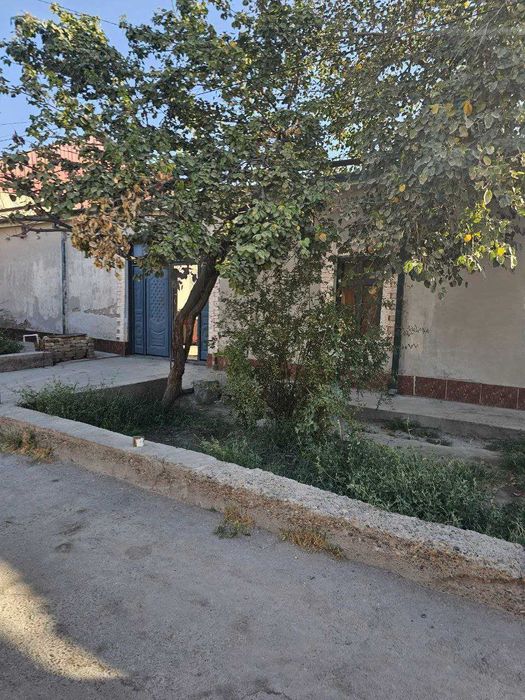 3 сотихли  участка сотилади, калхоз бозор