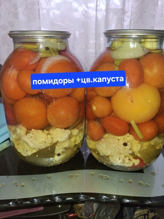 Домашняя засолка 2025г