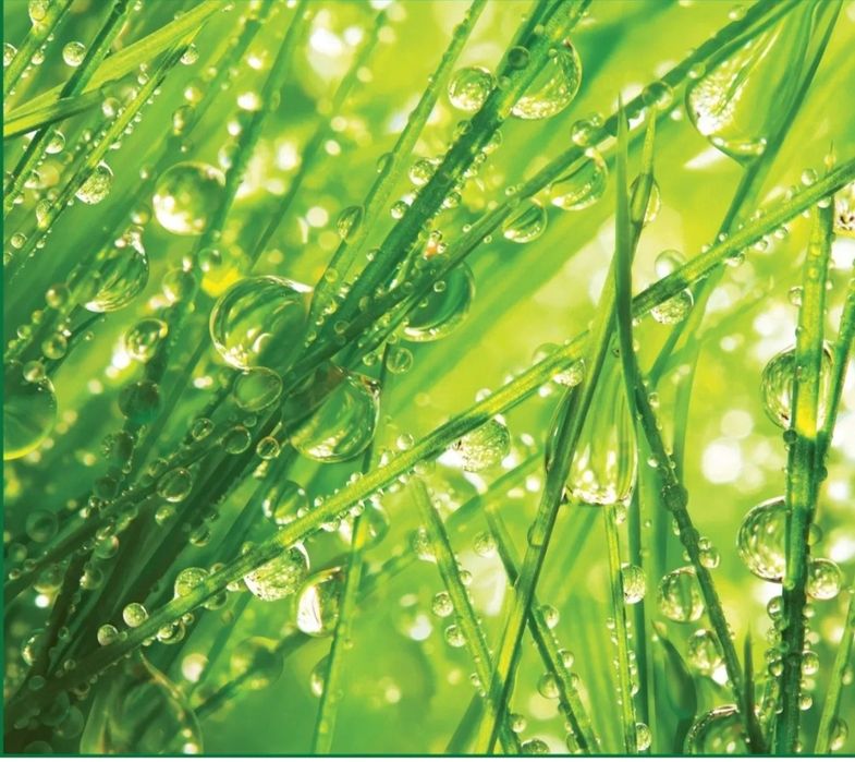 Продам фотообои  15000