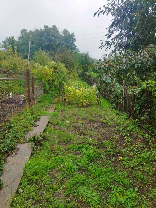 Casa de vanzare cu gradina, garaj si anexe