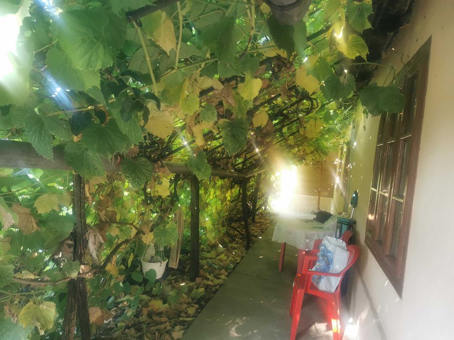 Casa bătrâneasca de vânzare la tara