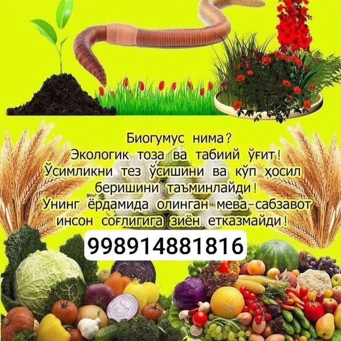 Тоза махсулот биягомис