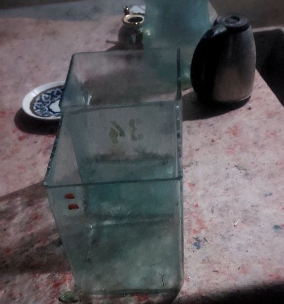 Шиша аквариум. Shisha akvarium