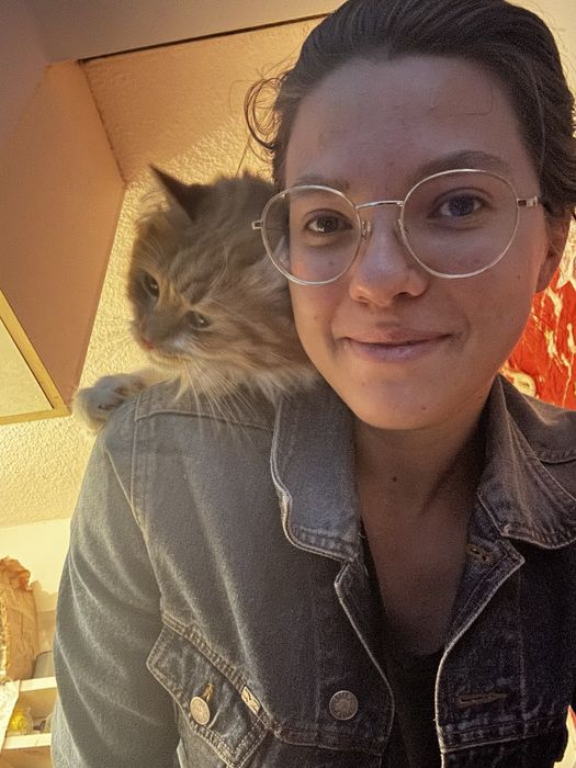 Разходка на кучета, грижи за котки и други домашни любимци. Цени.