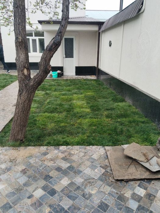 Gazon Mikrikilimit setka hizmat bor