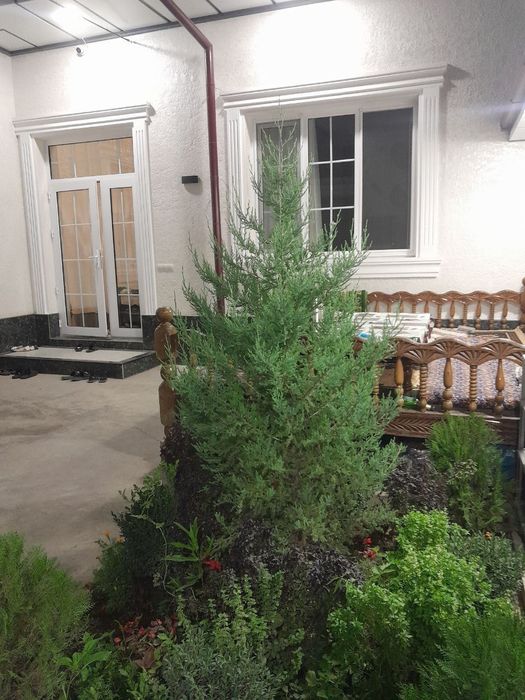 Срочно продается частный дом 1,8 соток яшнабадском районе с ремонтом