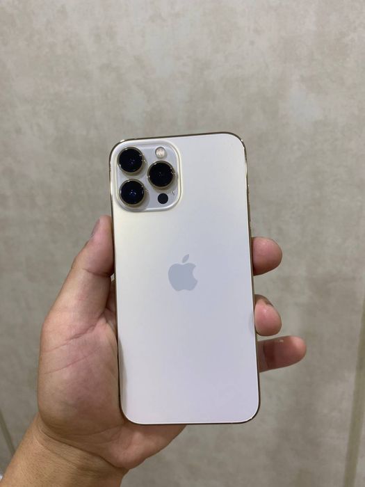 Iphone 13 pro max ideal