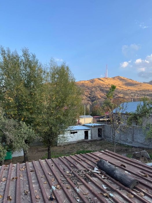 Chimgan yetmasdan yer sotladi