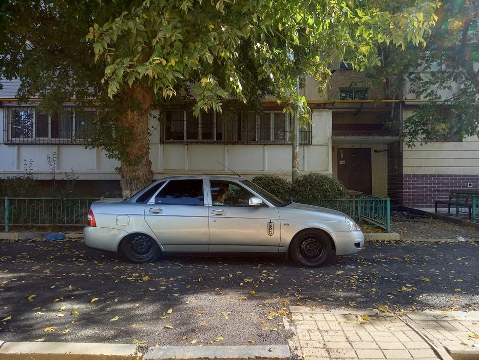 Прирора 2170 серый