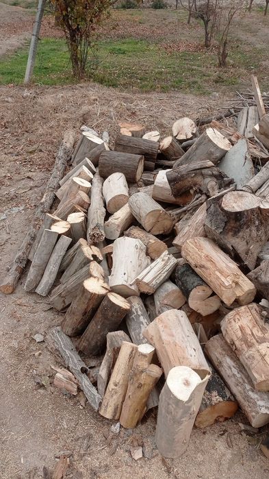 O'tin sotiladi   . kesilgan tayor