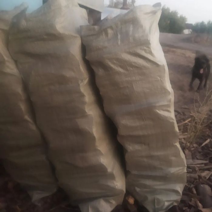 Продам дрова сосна карагач