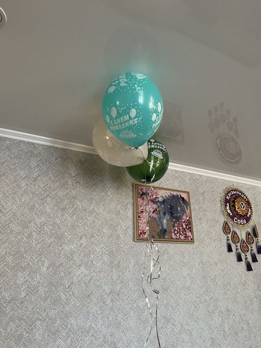 Үй сатылады 20 школ