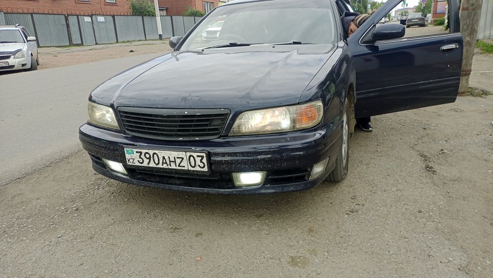 Продам цефирика на полном ходу