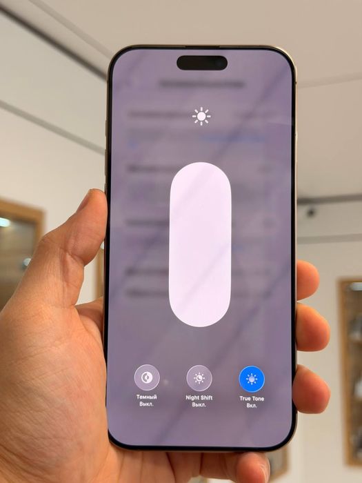 iPhone 16 Pro Max | 256 GB | eSIM