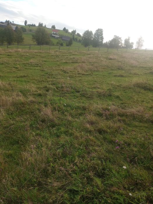 Vând teren intravilan și extravilan Sat Măguri