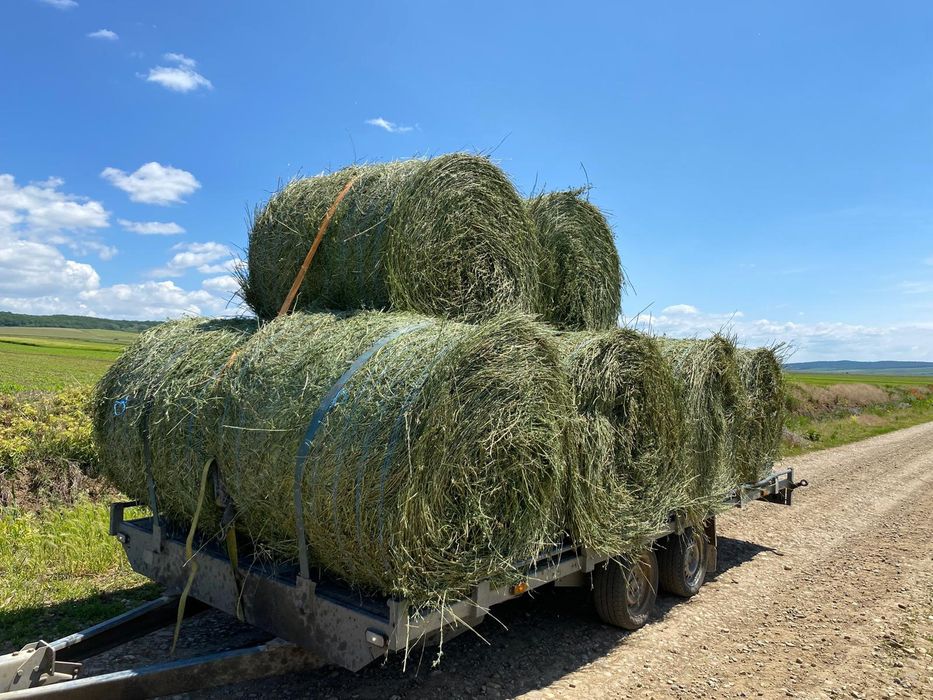 Vănd  Baloți  cu lucerna de calitate