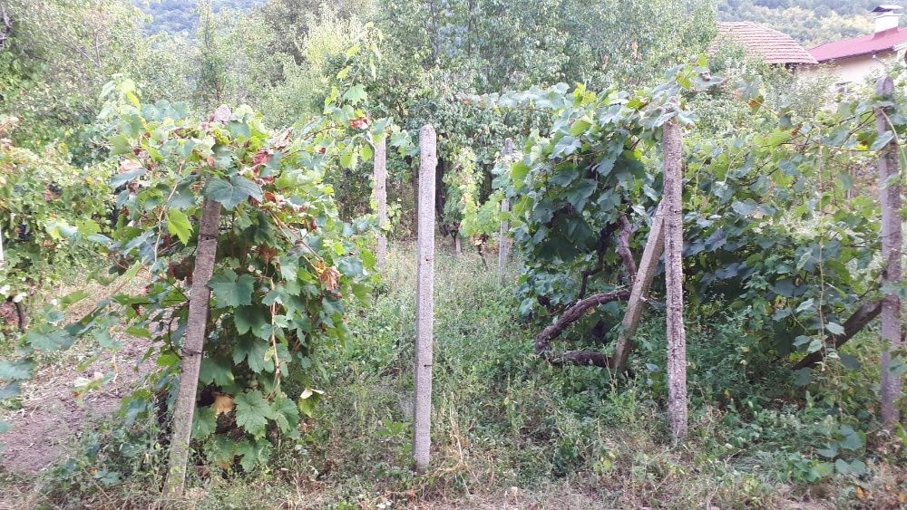 Продава се Къща в с. Георги Дамяново, Област Монтана - 120 кв.м за 208 €/кв.м - Снимка #9