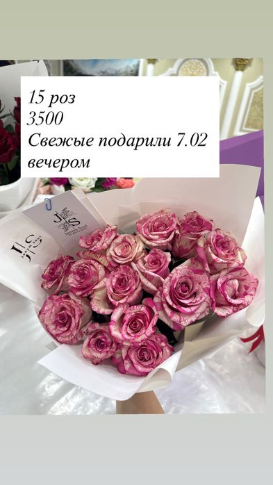 Продам цветы 2500, 3500, 4000, 5000