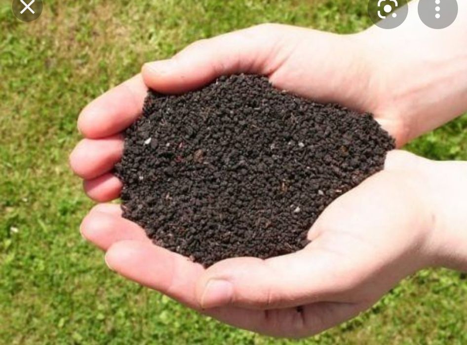 Biogumus va Kaliforniya qizil chuvalchanglari