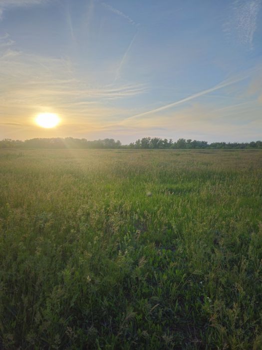 КХ ЛПХ участок срочно