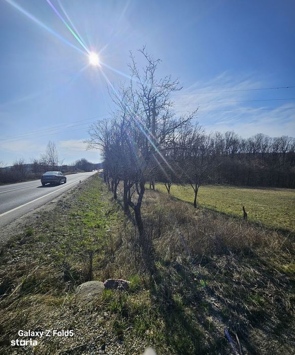 Teren Hidișelul de Sus | 10.600 mp | Ideal investiție turistică |