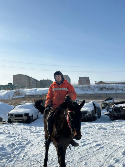 Таза қан байтал шғар ағылшын