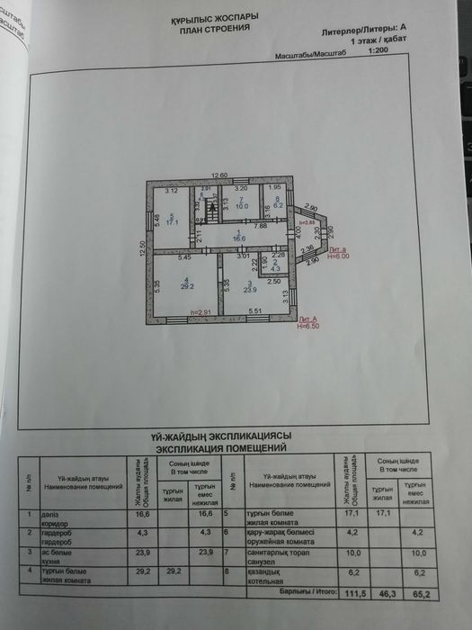 Частный большой дом