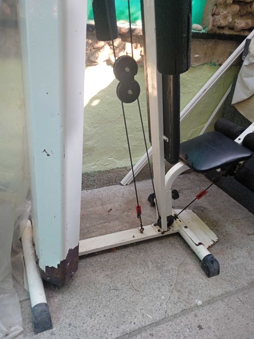 Гладиатор Кетлер