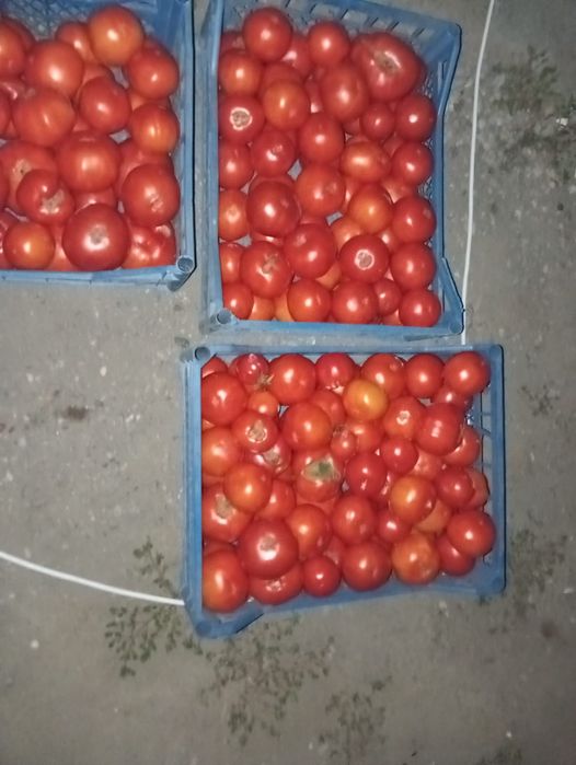 De vânzare roșii și vinete engro