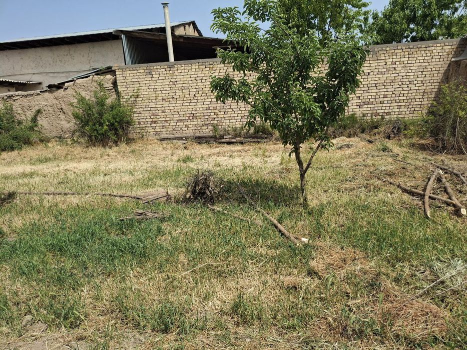 Yoshleninchida Yer sotiladi 6 sotix